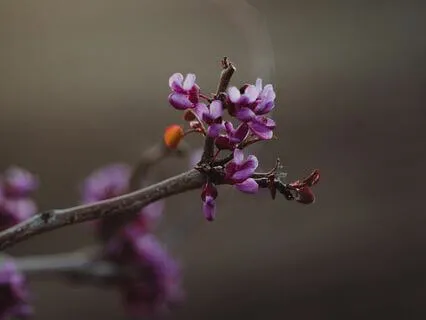 Delta 3 Hz Binaural Nighttime Meditation Sleep Music