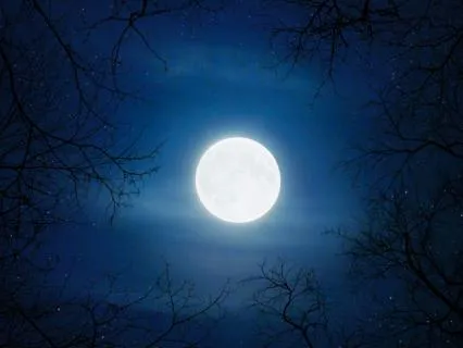 Delta Binaural Beats For Deep Sleep