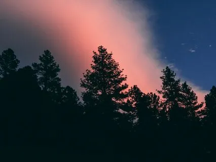 Delta Deep Sleep Binaural Music