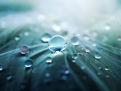 Delta Deep Sleep Binaural With Singing Bowls And Forest Rain ASMR, Study, Meditation