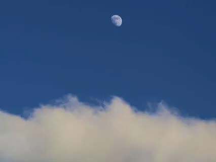 Delta Dream Recovery: Binaural Beats for Night Healing