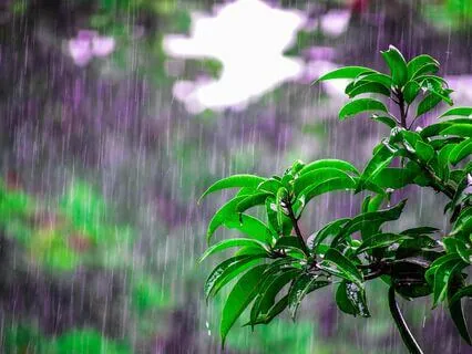 Delta Dreamland 3 Hz Binaural Beats Slumber Symphony