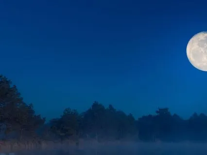 Delta Dreams – Music For Complete Rest