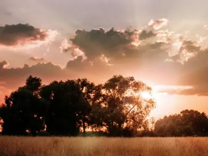 Delta Sleep - Deep Sleep & Emotional Release