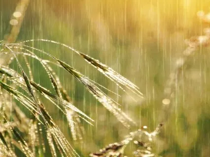Delta Sleep Delta Waves | 1Hour Brown Noise, Rain & Crickets