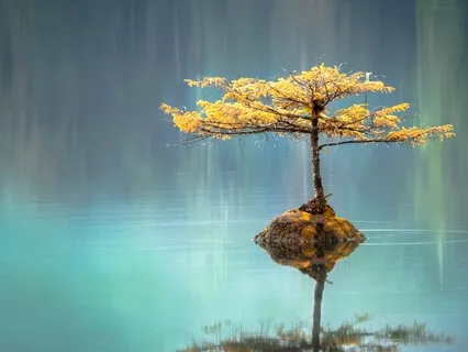 Delta Waves, 432Hz & Atmospheric Music For Deep Rest