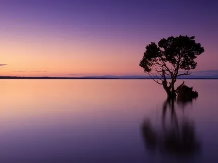 Delta Ocean Waves | Deep Rest & Relaxation