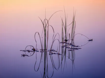 Delta Waves & Oceanic Sounds For Deep Rest