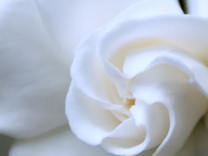 Delta Waves For Deep Healing 