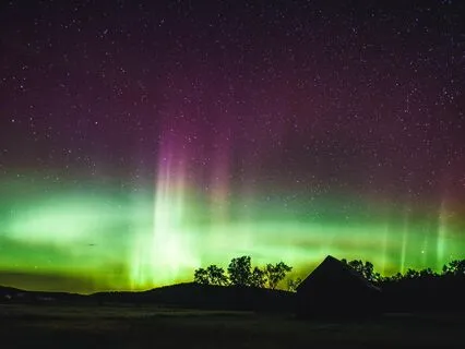 Delta Waves For Sleep, Meditation, And Rejuvenation