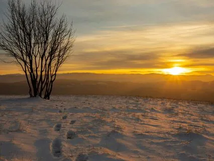 Delta Waves: The Key To Deep Sleep And Melatonin Boost