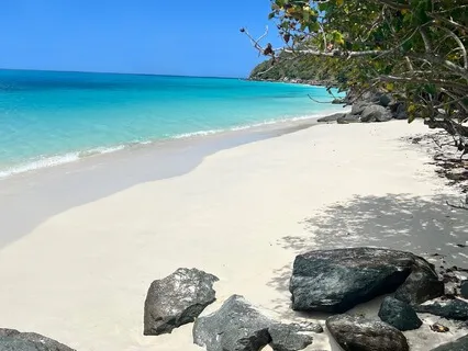 Den Magiske Strand Reisen