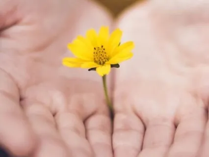 Departed Loved Ones And Their Journey To Stay Or Cross