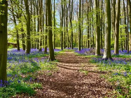 Depersonalisation Affirmations To Bring You Back