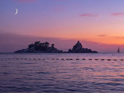 Depression In COVID-19 Times | The Wisdom Podcast | S2 E50