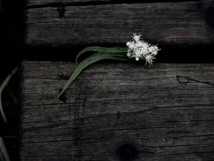 From Depression To Resilience | Crystal Healing Sound Bath