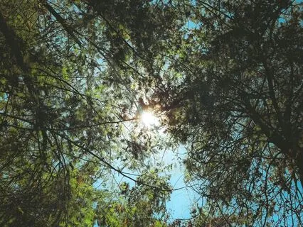 Depression Relief Frequency Meditation 30mins