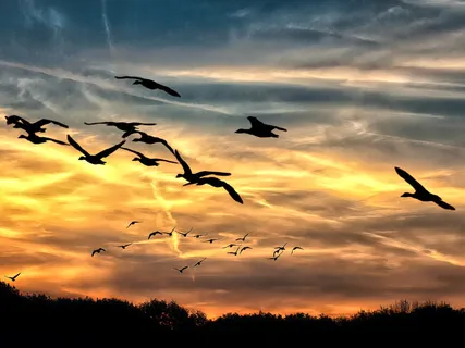 Depth Talk For Autumn/Fall