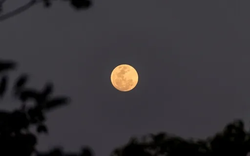 Desert At Night | Achieve Deeper Levels Of Awareness