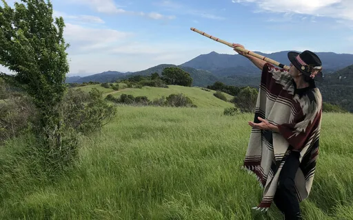 Desert Canvas - Deep Dream Album