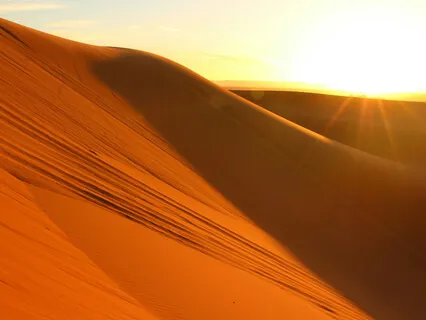 Desert Healing