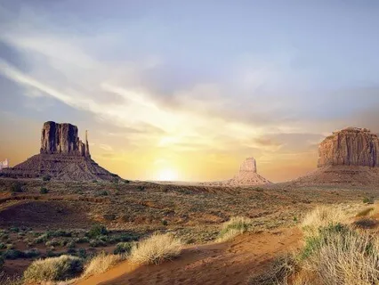 Desert Magic Spirit Guide Connection For New Beginnings