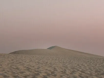 Desert Trek