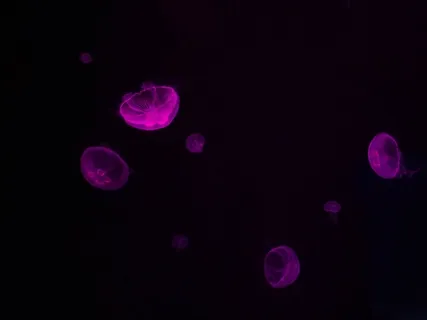 Deserving Of Deep Sleep