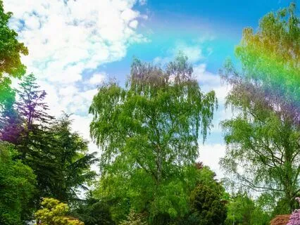 Desiderata - A Meditation For  21st Century Busy Minds