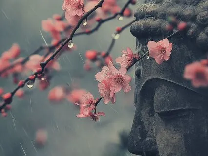 Desiderata- A Powerful Poem Of Guidance