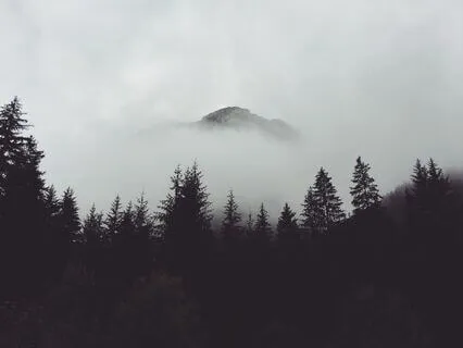 Desiderata, For Encouragement