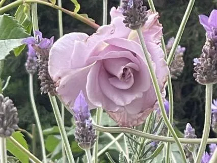 Designed To Be Awake - Episode 3 - Kingdom Of Heaven