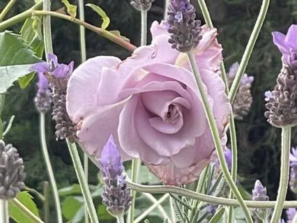 Designed To Be Awake Podcast - Episode 1