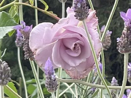 Designed To Be Awake Podcast - Episode 10 - Toxic Positivity