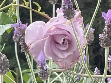 Designed To Be Awake Podcast - Episode 7 - We Are Eternal