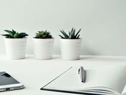 Desk Stretch: Posture Reset