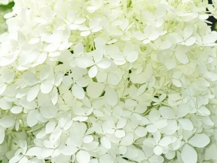 Desperation And Internal Gratitude