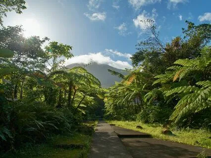 Destiny's Tune - Manifestation Prelude