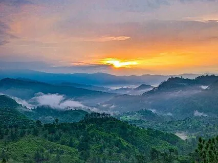 Destress And Rejuvenate!