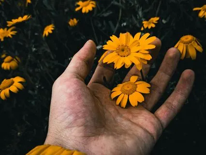 Destress And Relax In Divine Awareness