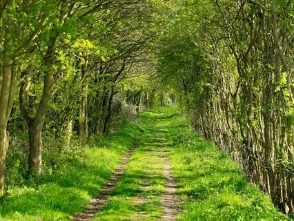 De-Stressing The Body