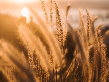 Destroy Subconscious Fear 432Hz