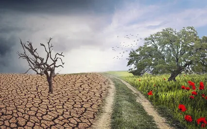 Destructive Or Transformative - Which Is It?