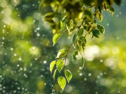 Detaching With Love: A Co-Dependency Release Practice