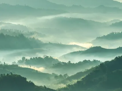 How We're Tense All The Time Without Noticing