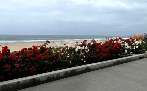 Detox From Social Media