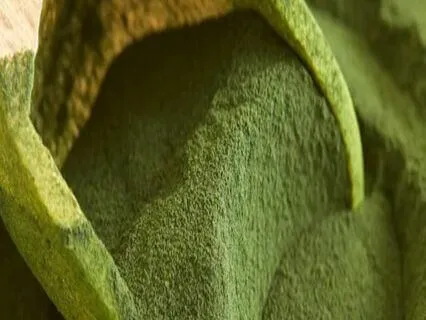 Detox Meditation Heavy Metals