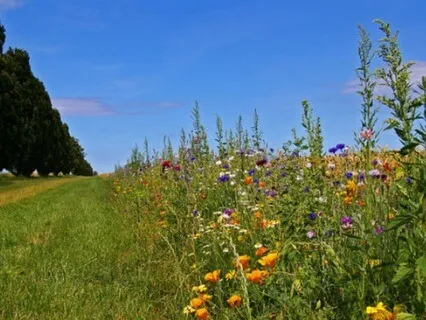 Detox Your Mind: Deep Relaxation