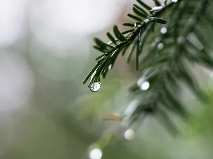 Deux Arabesques, L. 66: No. 1 (Debussy) 