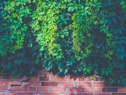 Develop Mental Toughness And Live Better